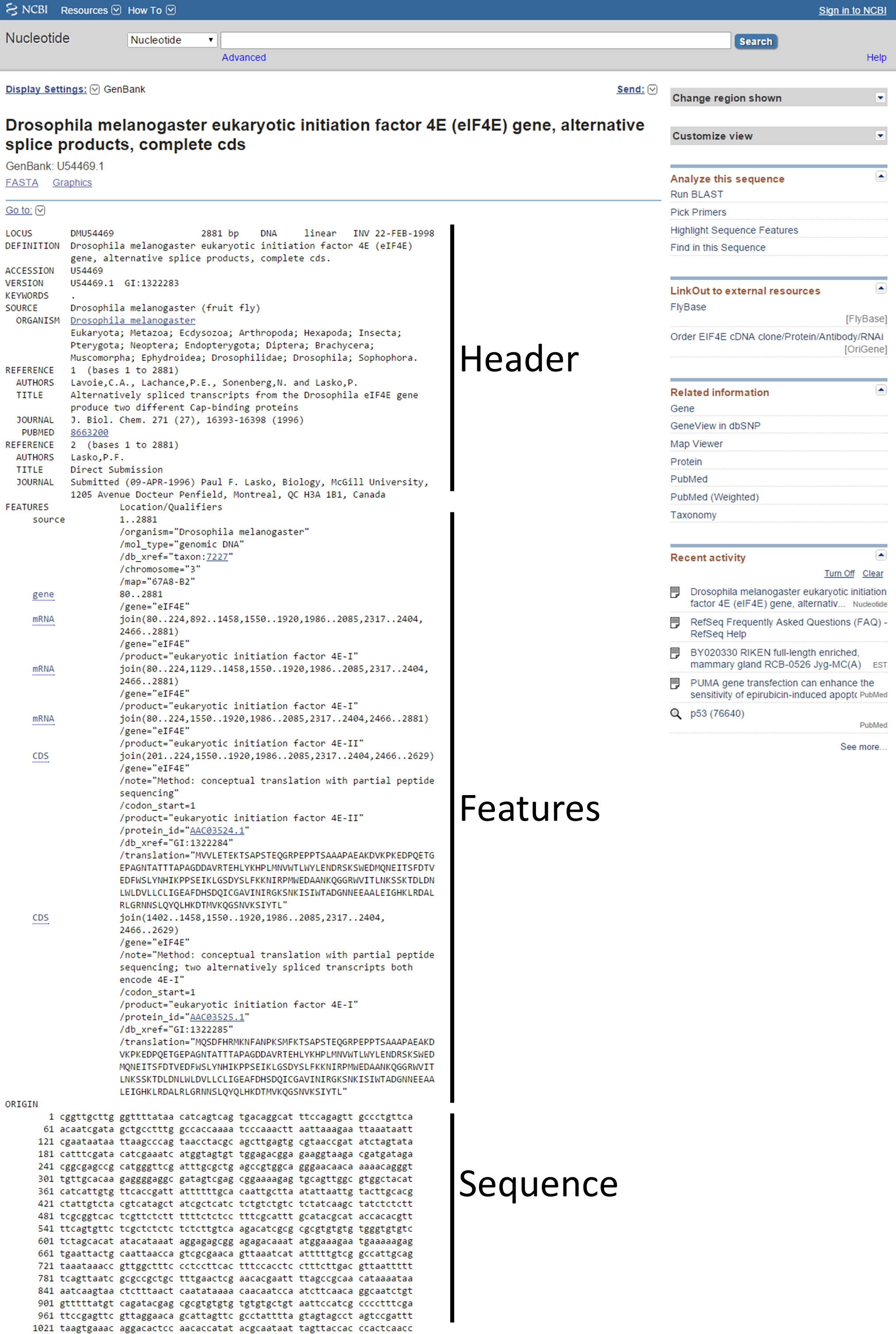 Overview of search record in the Nucleotide database with three sections from GenBank format