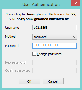 Bitvise SSH Client Login