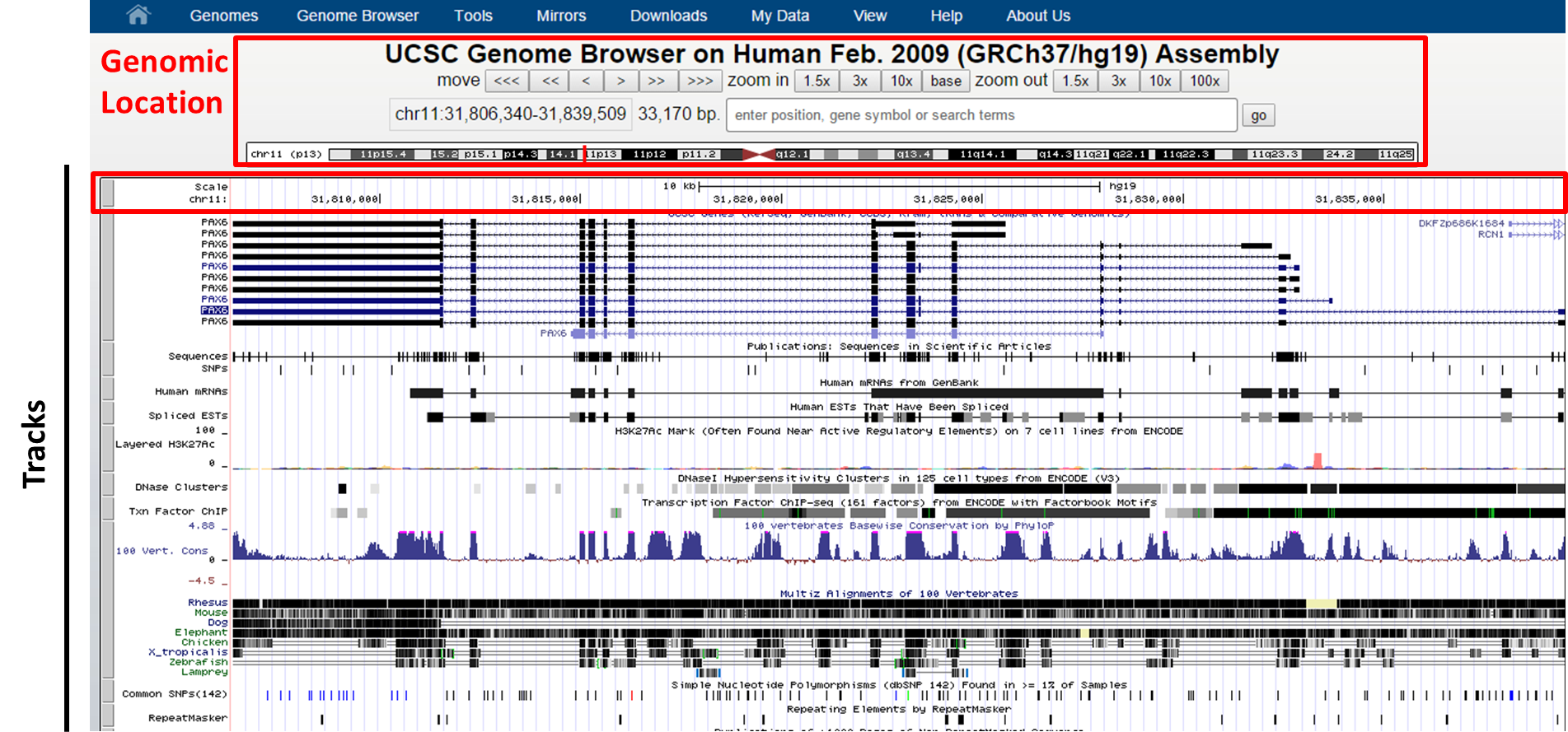 UCSC Genome Browser interface